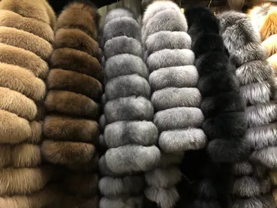 Шуба из финского песца - цвет тор тор. купить с доставкой по Москве | CITY  FURS