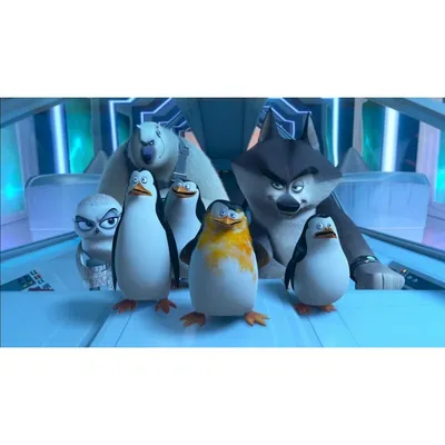 The Penguins of Madagascar (2008) | Пингвины, Hello kitty комнаты,  Мадагаскар