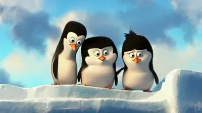 Пингвины Мадагаскара / Penguins of Madagascar - Дай ласт - Coub - The  Biggest Video Meme Platform