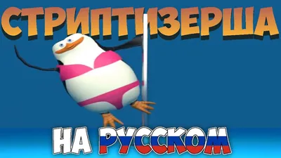 Аналогия Черепашек-ниндзя и Пингвинов из Мадагаскара | Пикабу