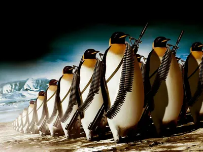 Пингвины. Penguin (55 обоев) » Смотри Красивые Обои, Wallpapers, Красивые  обои на рабочий стол