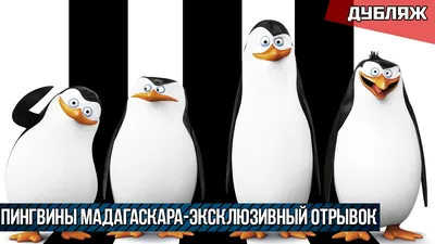 Обои Танец пингвинов, картинки - Обои для рабочего стола Танец пингвинов  фото из альбома: (мультфильмы)