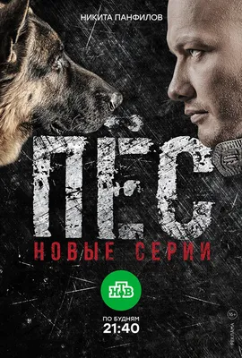 Пёс (сериал: 3 сезон) (2017) – Фильм Про