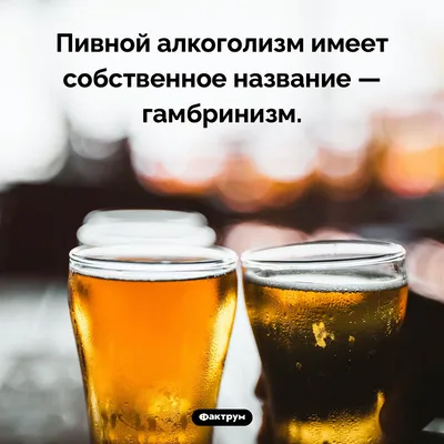 Дизайн интерьера в пивных магазинах. Идеи для оформления помещения внутри в пивной  тематике.