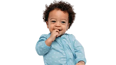 без фона png images | PNGEgg