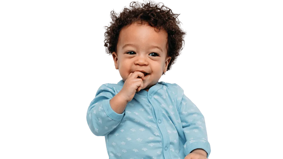 без фона png images | PNGEgg без фона png images | PNGEgg