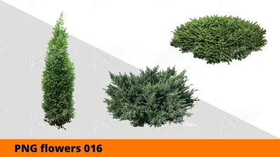 Удалить фон онлайн, сделать прозрачный фон – remove.bg