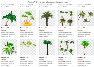 Ярлыки Клипарт Без Фона - Flowers To Cut Out - Free Transparent PNG Clipart  Images Download