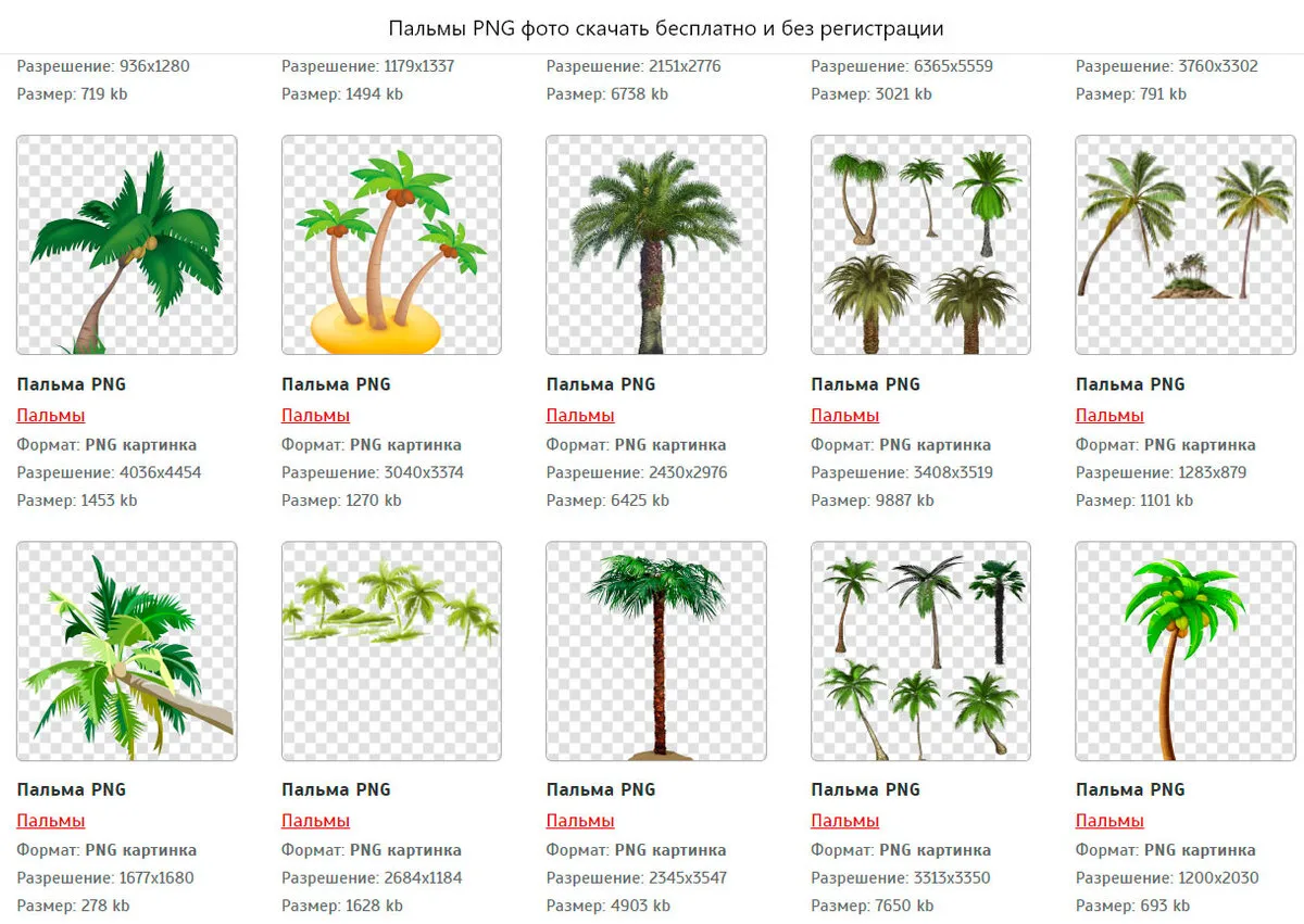 Ярлыки Клипарт Без Фона - Flowers To Cut Out - Free Transparent PNG Clipart Images Download Ярлыки Клипарт Без Фона - Flowers To Cut Out - Free Transparent PNG Clipart Images Download