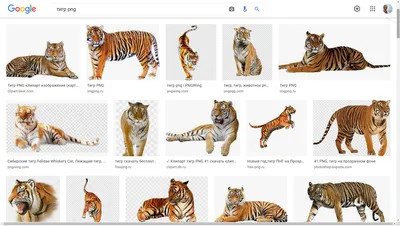 Зеленая ель без декора без фона. Скачать в PNG — Декор Академия