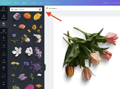 Удалить фон онлайн, сделать прозрачный фон – remove.bg