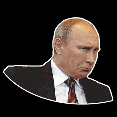 Картинки без фона онлайн | Большая коллекция | Canva