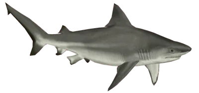 Значок Доллара Без Фона, HD Png Download - vhv