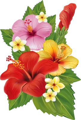 Download Желтые Листья Без Фона PNG Image with No Background - PNGkey.com