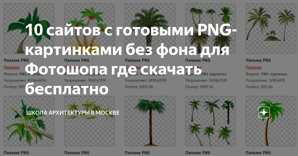 Зеленое яблоко без фона - Png (пнг) картинки и иконки без фона Зеленое яблоко без фона - Png (пнг) картинки и иконки без фона
