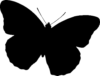 Santa Claus Hat Png - Новогодняя Шапка Png Без Фона Рисунок, Transparent Png  , Transparent Png Image - PNGitem