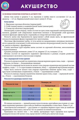 Ветеринарное акушерство и гинекология животных в России