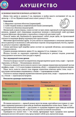 Акушерство и гинекология. Учебник в 4-х томах - Ищенко А.И., Сидорова И.С.,  Никитина Н.А., Унанян А.Л., Чушков И.Л., Купить c быстрой доставкой или  самовывозом, ISBN 978-5-9986-0377-8 - КомБук (Combook.RU)