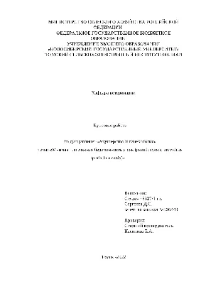 Модель для обучения акушерству, развитие эмбриона, беременность на 9  месяце, Женский таз, с девятью месяцами модель эмбриона | AliExpress