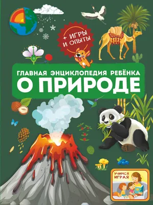 Задания по экологии для дошкольников в картинках и рисунках