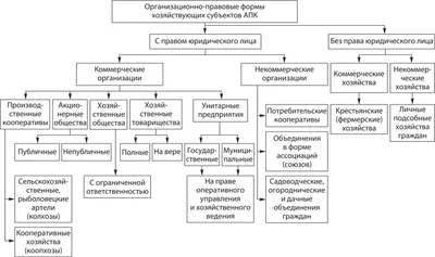 Экономический паспорт предприятия | OpenCert