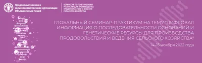 Как правильно вести конспекты / Skillbox Media