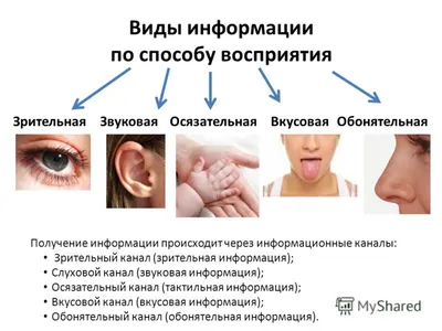 История развития информатики в России