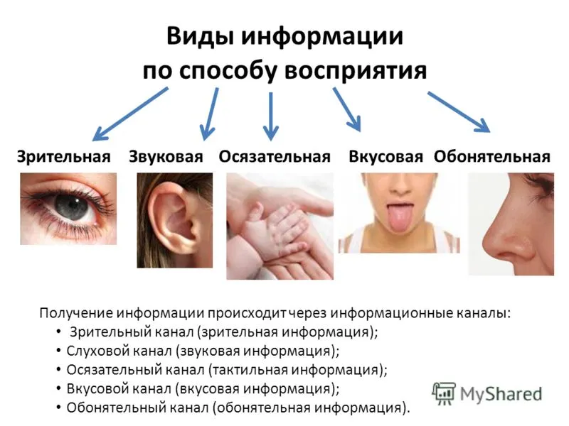 История развития информатики в России История развития информатики в России