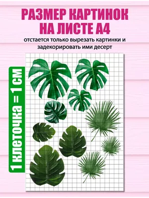 Скатерть Рыжий кот пвх, клетка, коллекция винтаж, размер 110x135 см 106455  - выгодная цена, отзывы, характеристики, фото - купить в Москве и РФ