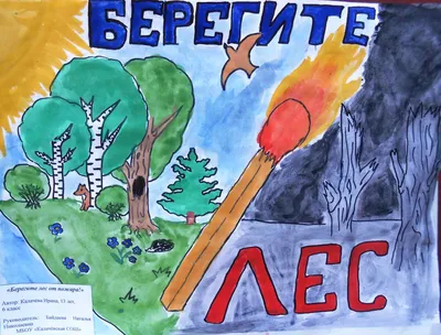 Рисунки «Береги природу» (3 фото). Воспитателям детских садов, школьным  учителям и педагогам - Маам.ру