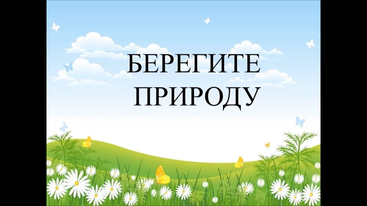 Картинки На Тему Берегите Природу 6 Класс – Telegraph Картинки На Тему Берегите Природу 6 Класс – Telegraph