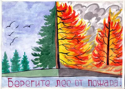 Итоги конкурса на лучший видеоролик на экологическую тематику «Берегите  природу» | Витебский Районный Исполнительный Комитет