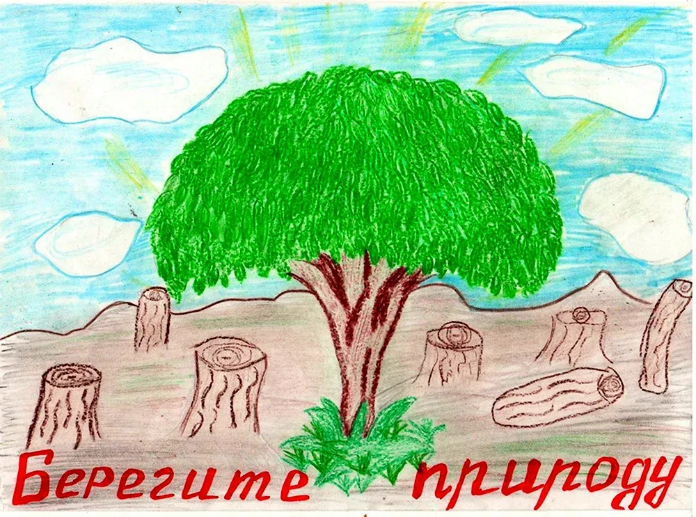 Мини – проект «Берегите природу» Мини – проект «Берегите природу»