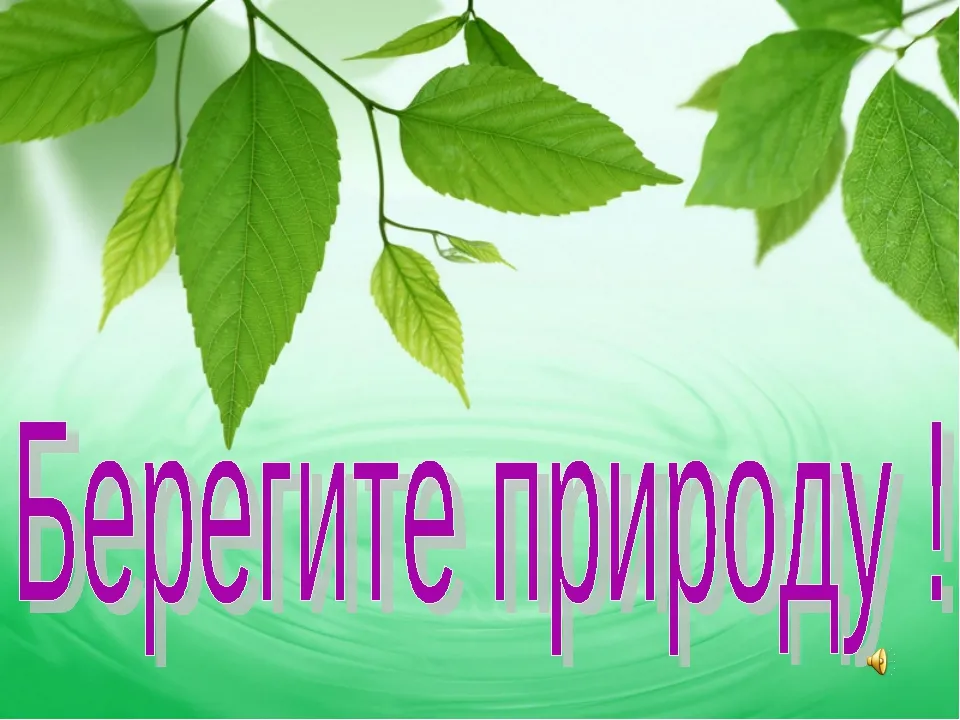 Берегите природу», видео презентация, 6+. Краснополянская ДБФ - YouTube Берегите природу», видео презентация, 6+. Краснополянская ДБФ - YouTube