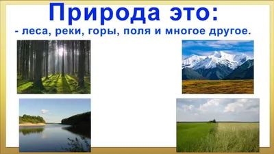 Конкурс \"Берегите природу\" - Всероссийские и международные дистанционные  конкурсы для детей - дошкольников и школьников