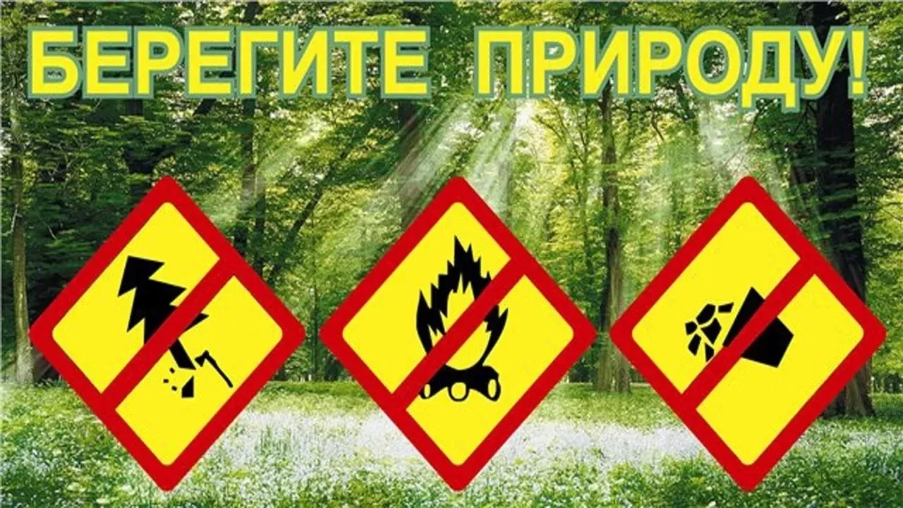 Мероприятие «Берегите природу» 2021, Акушинский район — дата и место проведения, программа мероприятия. Мероприятие «Берегите природу» 2021, Акушинский район — дата и место проведения, программа мероприятия.