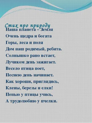 Берегите природу! ТОП-7 сочинений для 1-6 классов