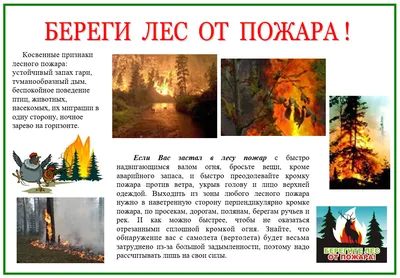 Картинки берегите природу - 38 шт