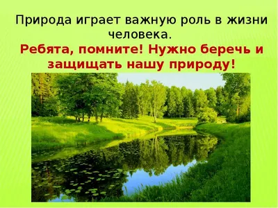 Подведены итоги конкурса листовок «Берегите лес от пожаров»! - Новости из  МПР - Новости - Кузнецкий Алатау