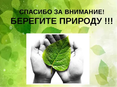 Экологическая викторина«Берегите природу» 2024, Альшеевский район — дата и  место проведения, программа мероприятия.