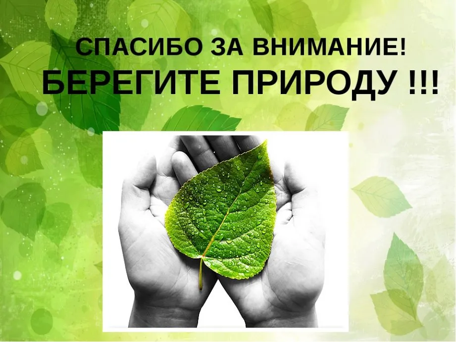 Экологическая викторина«Берегите природу» 2024, Альшеевский район — дата и место проведения, программа мероприятия. Экологическая викторина«Берегите природу» 2024, Альшеевский район — дата и место проведения, программа мероприятия.
