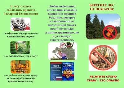 Ответы Mail.ru: Публичное выступление на тему \"Берегите природу\"  СРОООООООООООООЧНООООО!