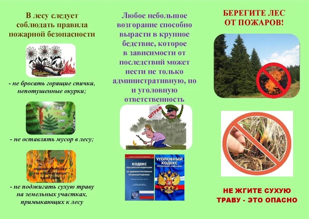 Ответы Mail.ru: Публичное выступление на тему \"Берегите природу\" СРОООООООООООООЧНООООО! Ответы Mail.ru: Публичное выступление на тему \"Берегите природу\" СРОООООООООООООЧНООООО!