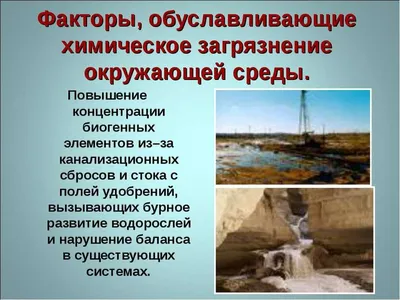 Экология: причины загрязнения окружающей среды, последствия и меры по  защите | DiverseLife | Дзен