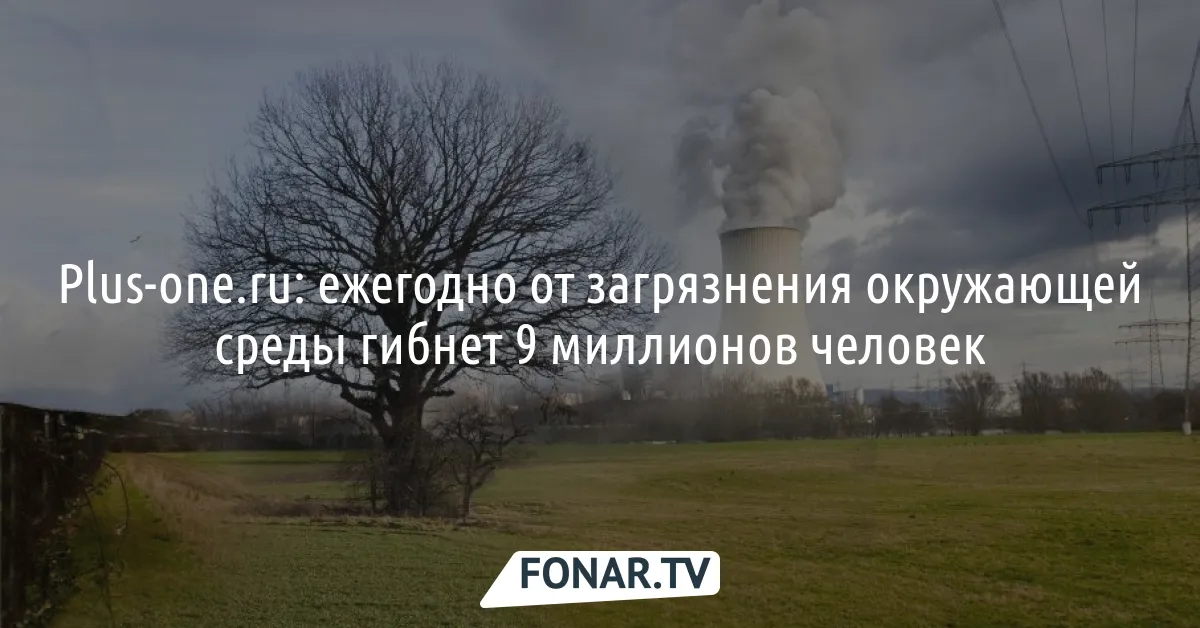 Вырубка Леса И Загрязнения Окружающей Среды — стоковые фотографии и другие картинки Без людей - Без людей, Бревно, Вредные пары - iStock Вырубка Леса И Загрязнения Окружающей Среды — стоковые фотографии и другие картинки Без людей - Без людей, Бревно, Вредные пары - iStock