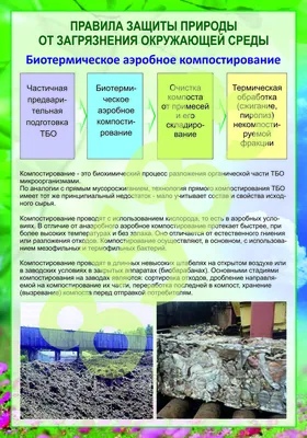 Загрязнение природы, когда это прекратится | Взгляд специалиста | Дзен