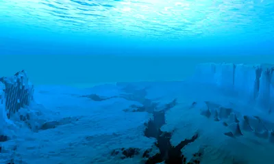 Под островом пикирования моря под водой голубым Стоковое Фото - изображение  насчитывающей остров, пикирование: 117685784