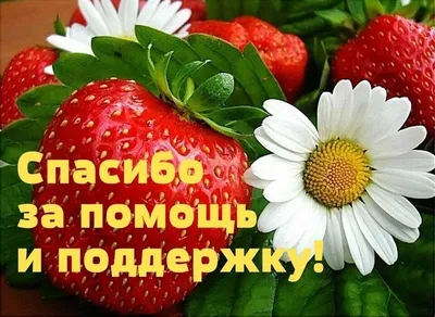 Я отпускаю и освобождаю все беспокойство из моей жизни.. | Цитаты,  Мотивирующие цитаты, Слово дня