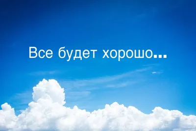 Благодарности пост. Дорогие друзья! Уважаемые наши помощники! Огромнейшее  спасибо вам за все! | приют \"Спасенная душа\" г. Астрахань | Дзен