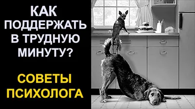 Держись, все будет хорошо... Слова поддержки в трудный период, в трудную  минуту - YouTube